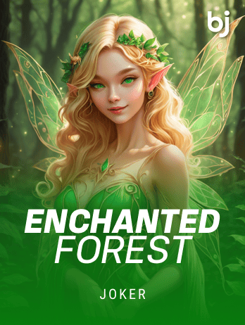 Enchanted Forest